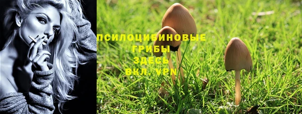 ALPHA-PVP Куйбышев