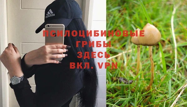 эйфоретик Кулебаки