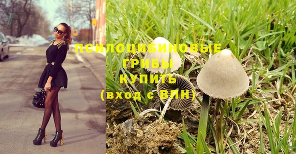 кокс Кукмор