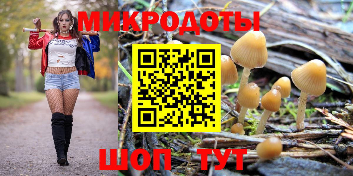 Псилоцибиновые грибы Psilocybine cubensis  где продают наркотики  Кисловодск  Вход с VPN 