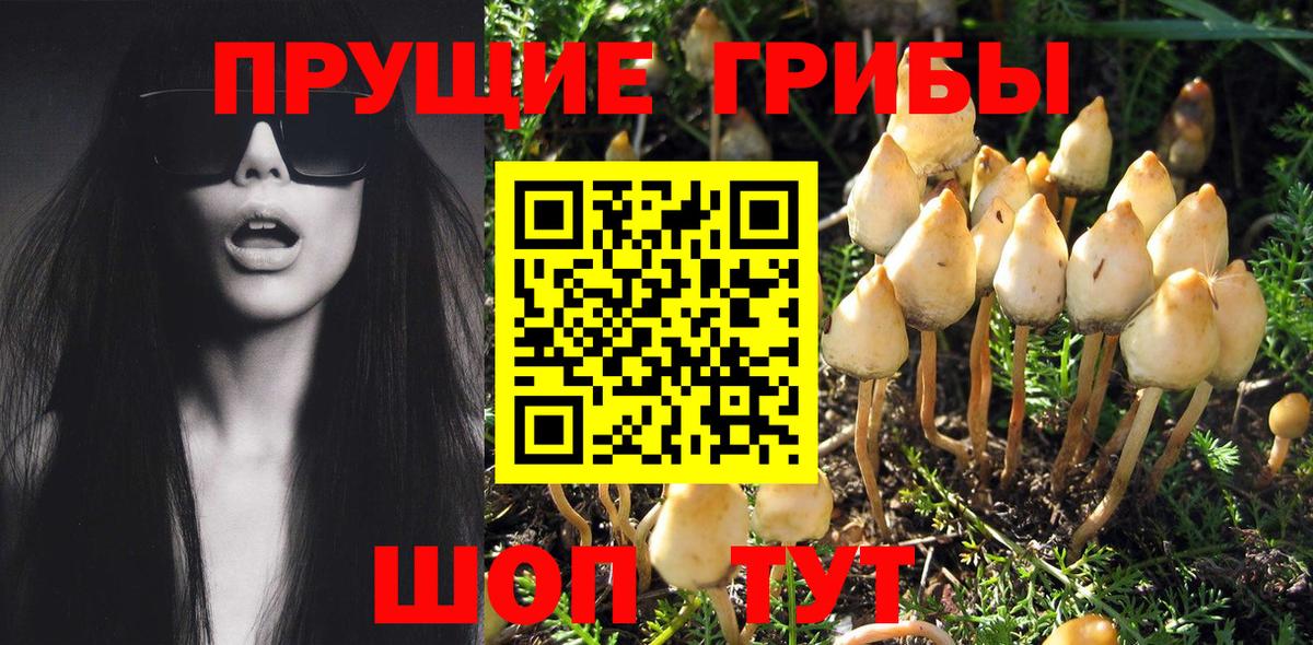 Галлюциногенные грибы мухоморы  Галлюциногенные грибы MAGIC MUSHROOMS  Кисловодск 